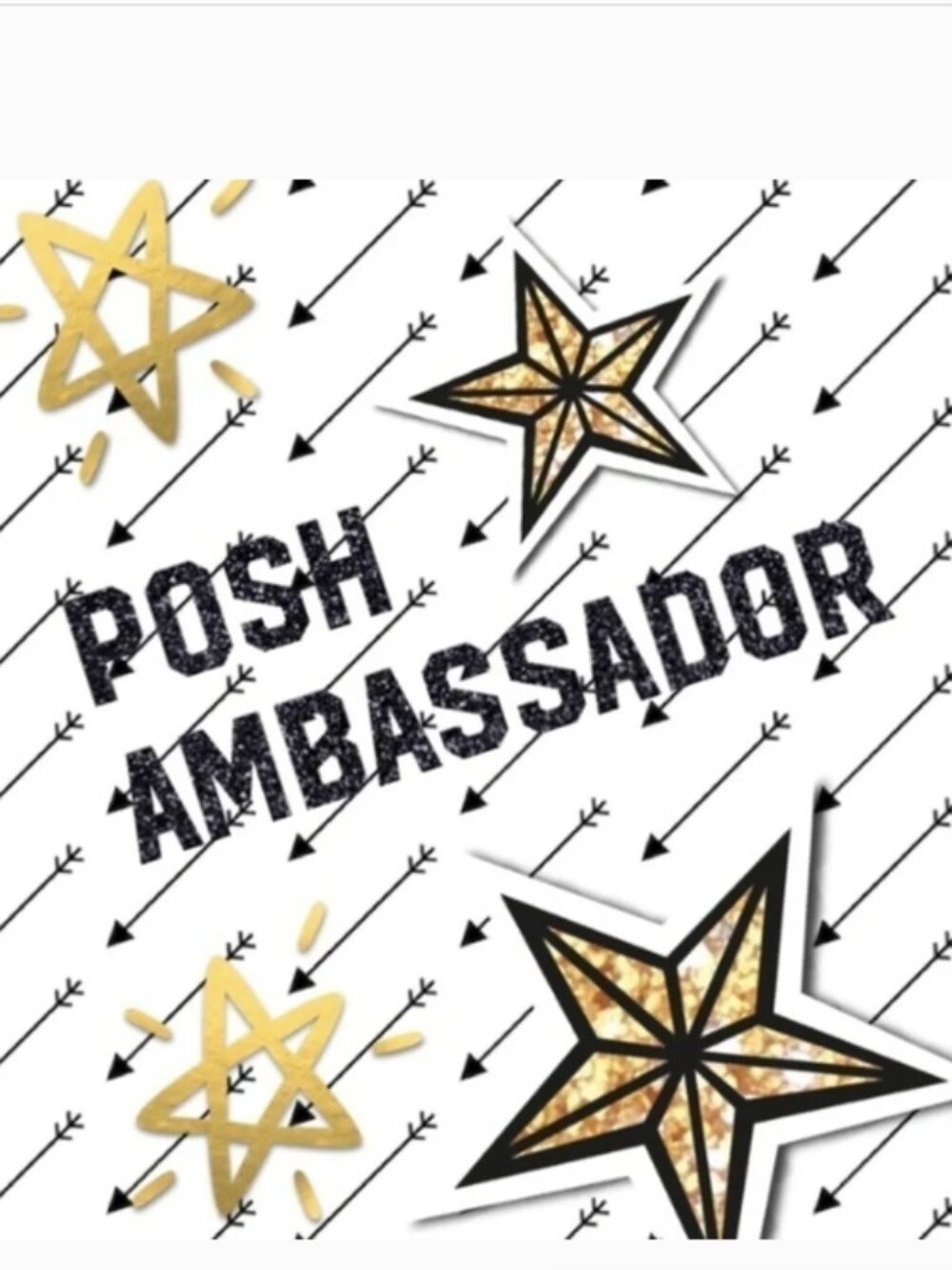 Posh Ambassador!  Fast Ship, Free Gifts, Variety Closet!